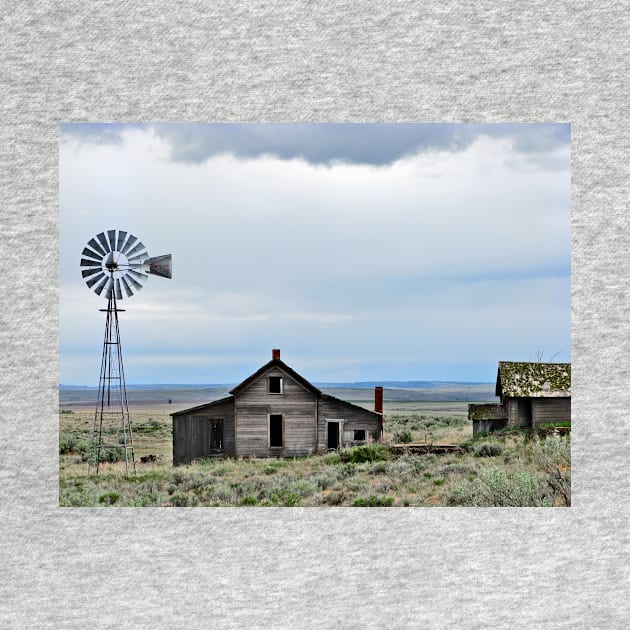 Abandoned Homestead by Lines